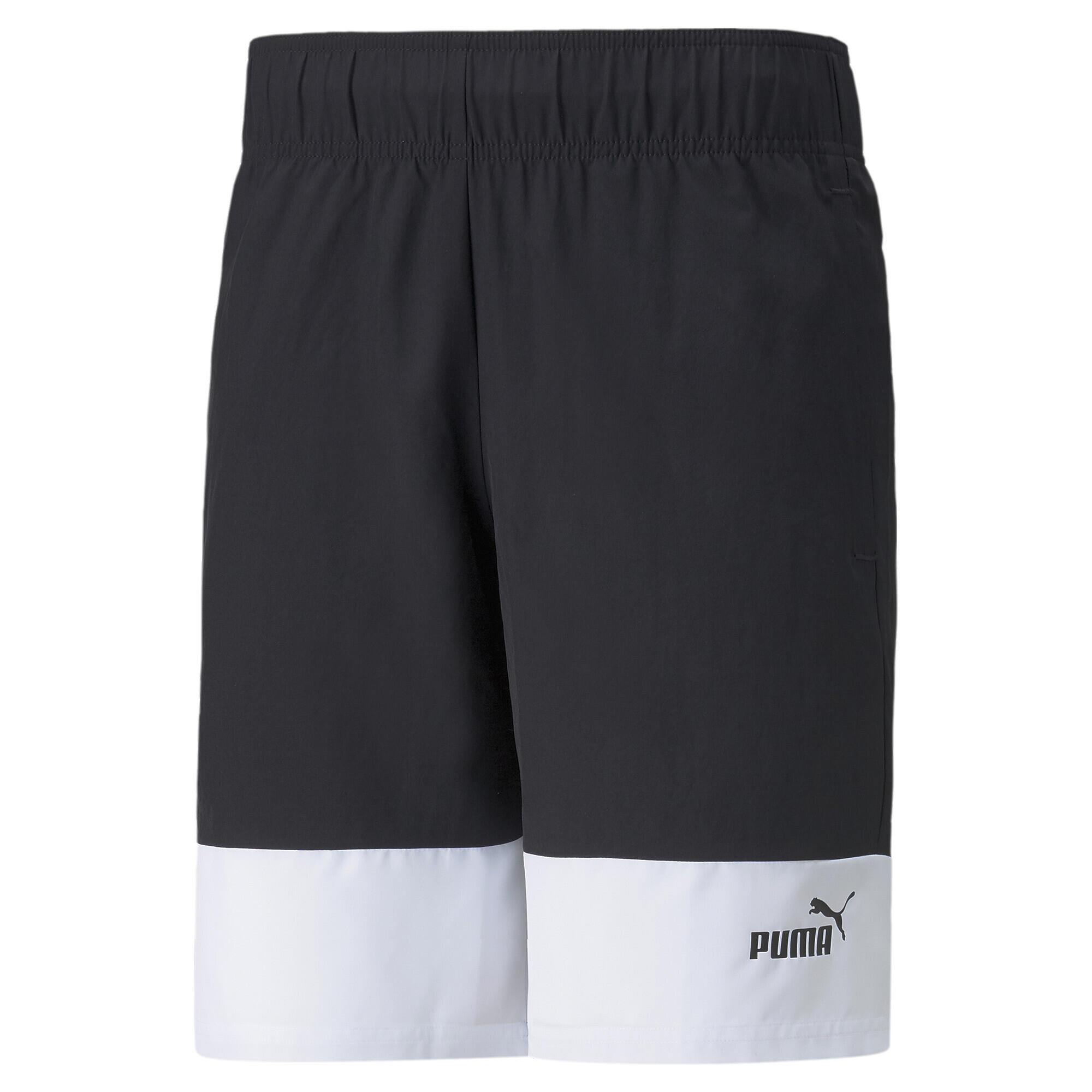 PUMA picture