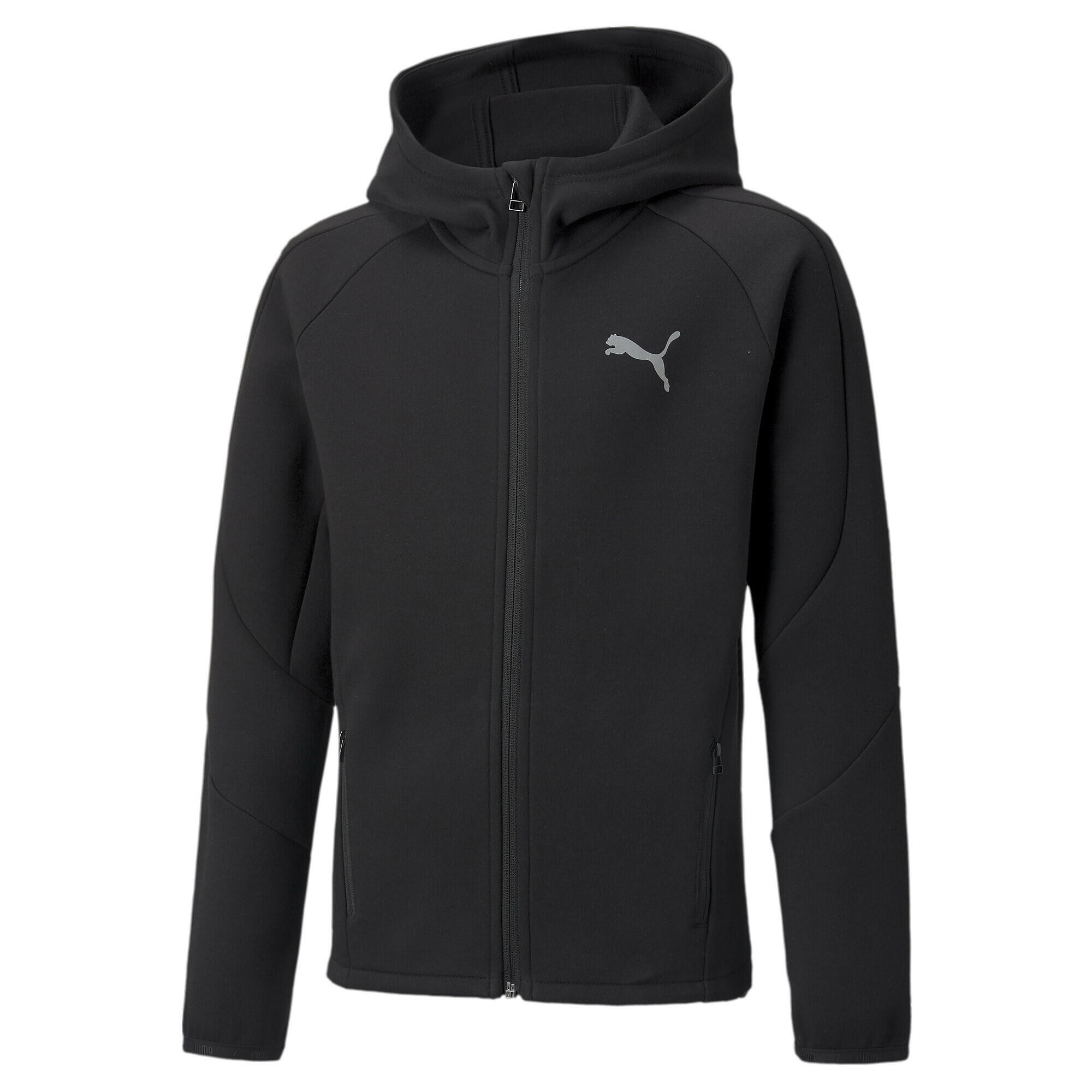 PUMA picture