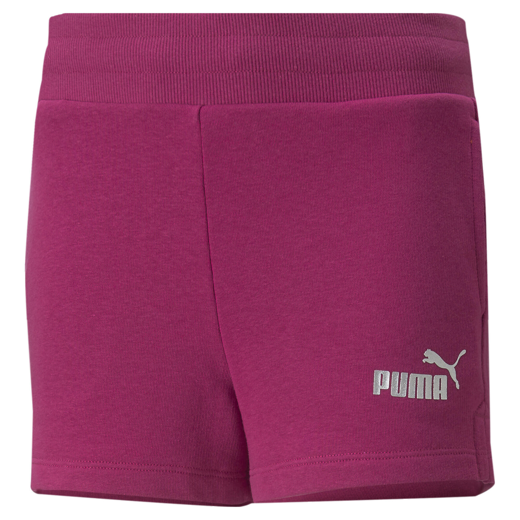 PUMA picture