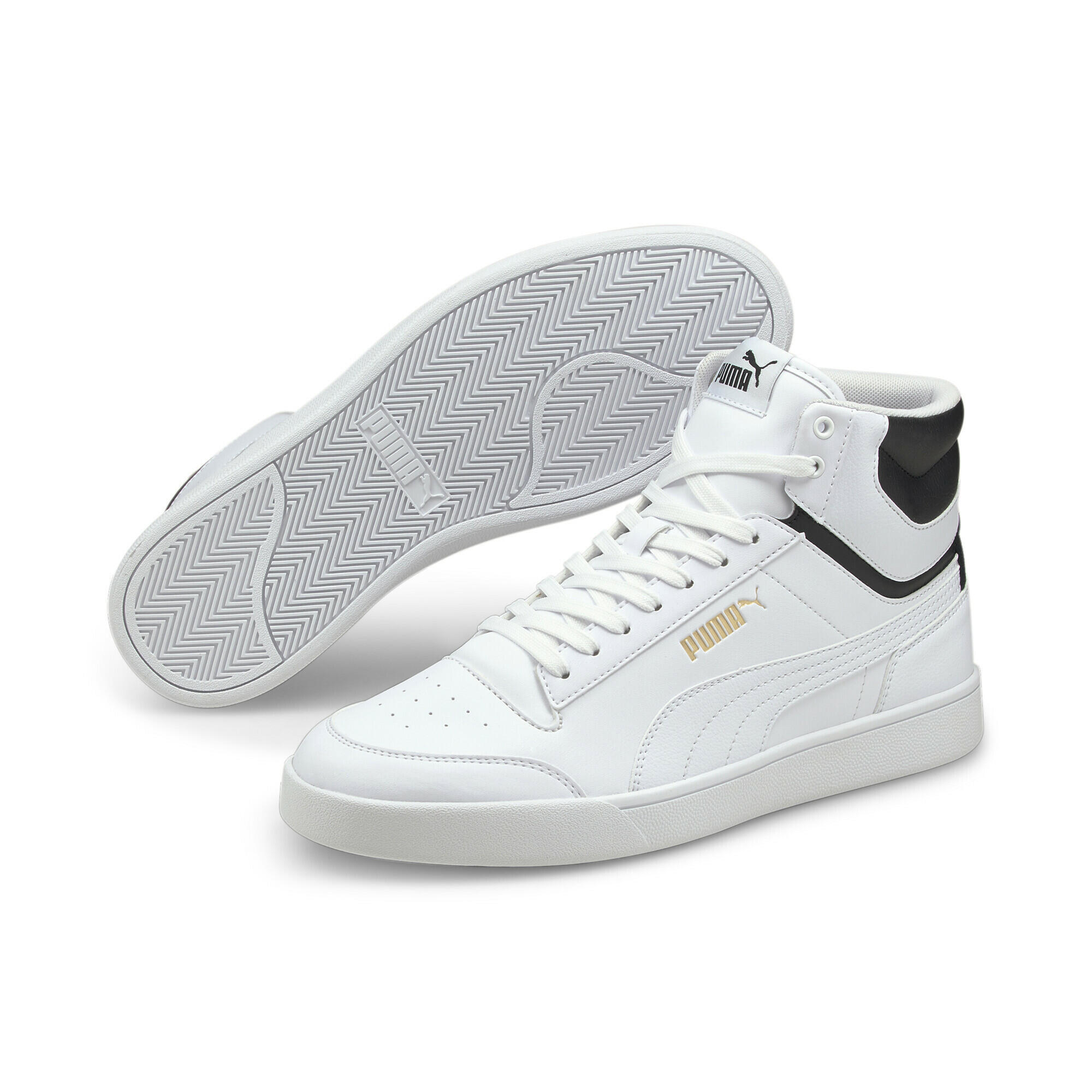 PUMA picture