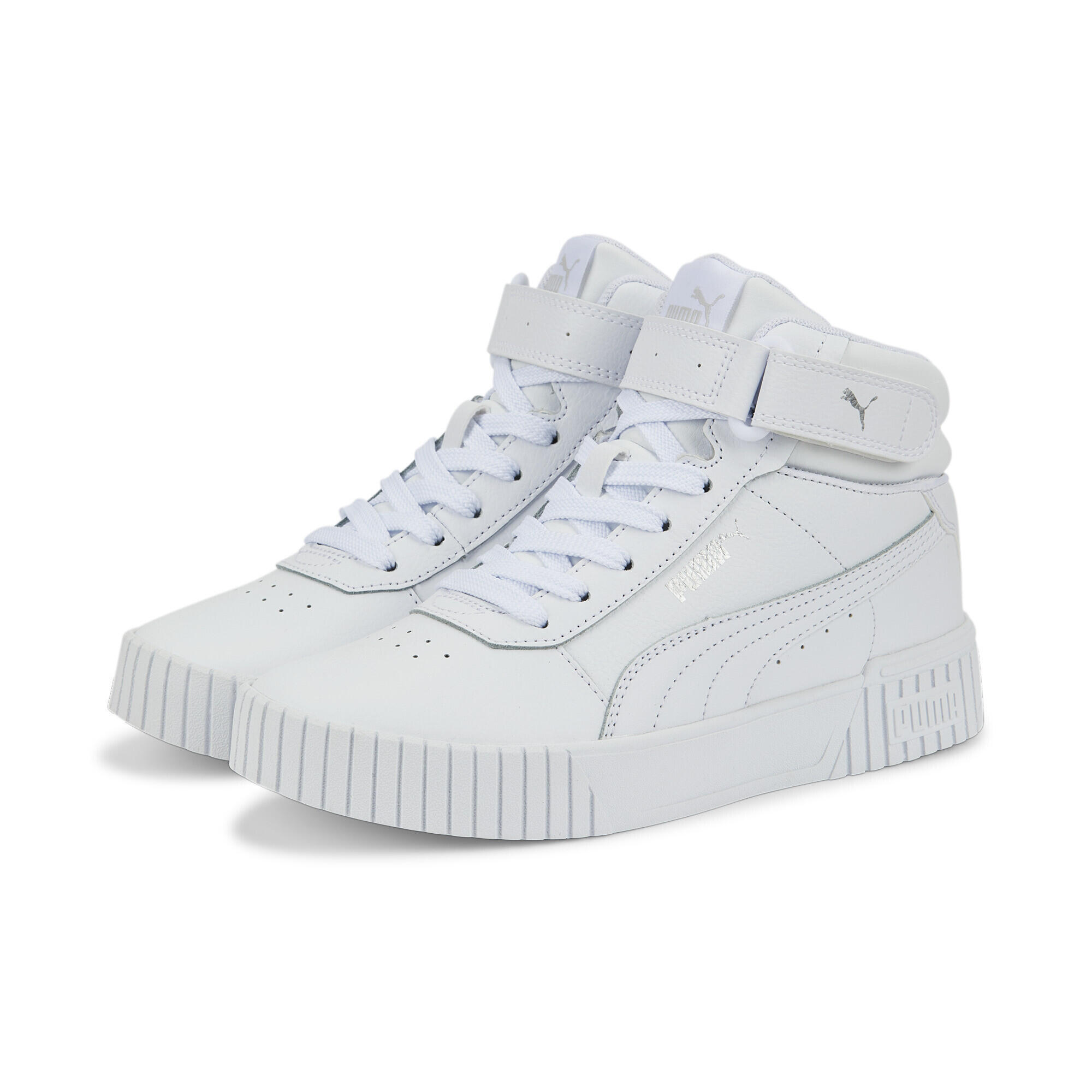 PUMA picture