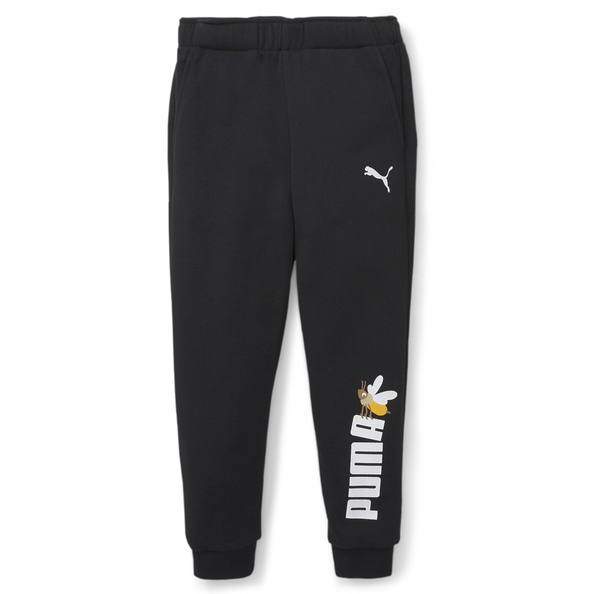 PUMA picture