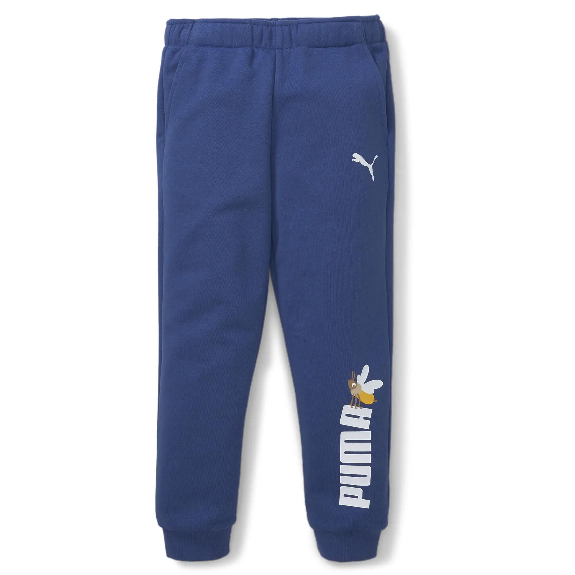 PUMA picture
