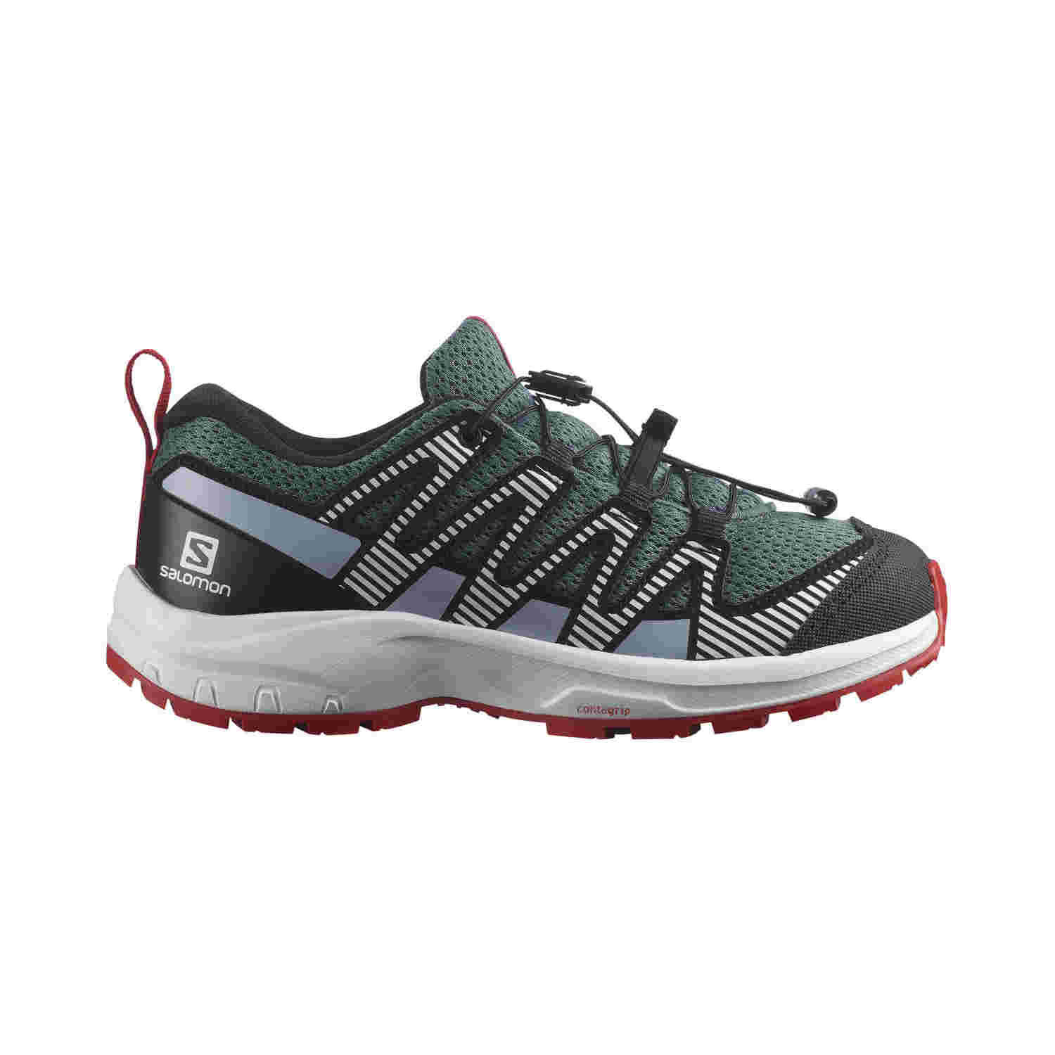 SALOMON picture