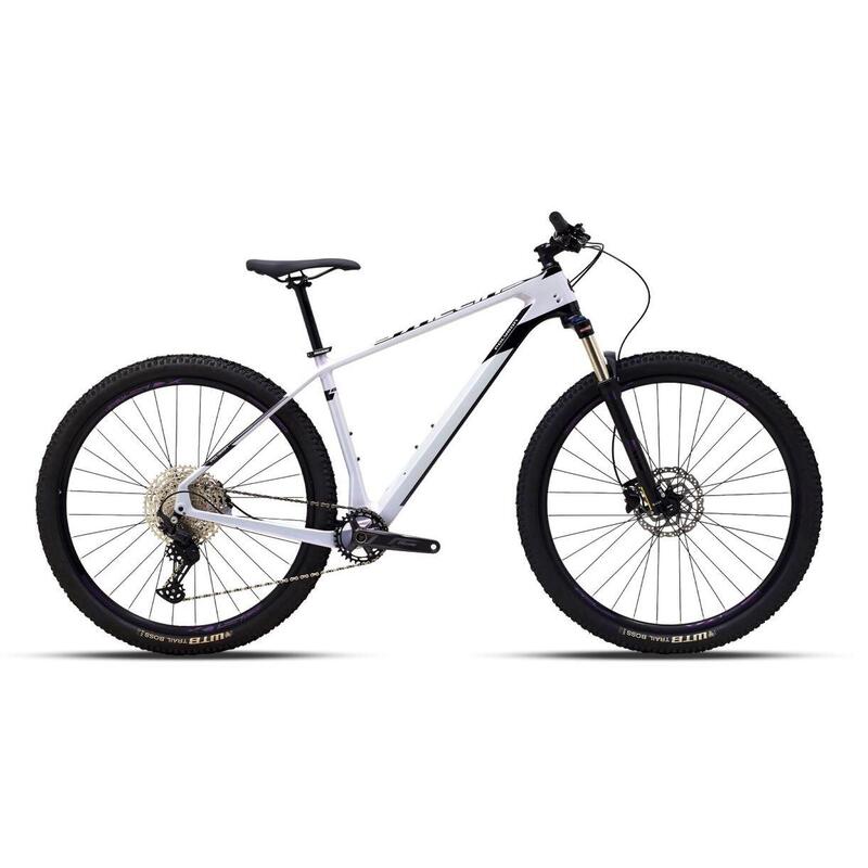 Bicicleta Polygon Syncline C2 Grey 29" 2022