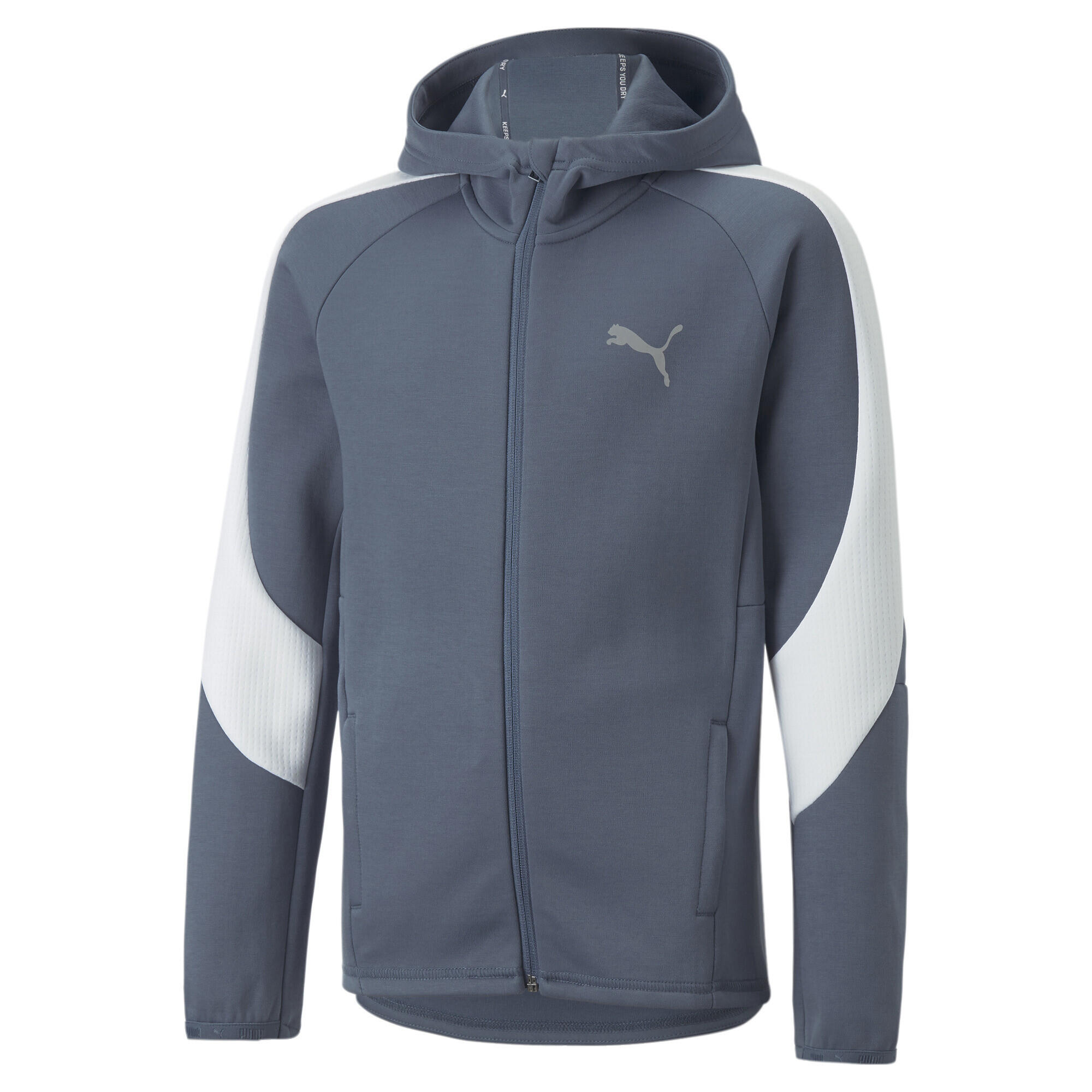 PUMA picture