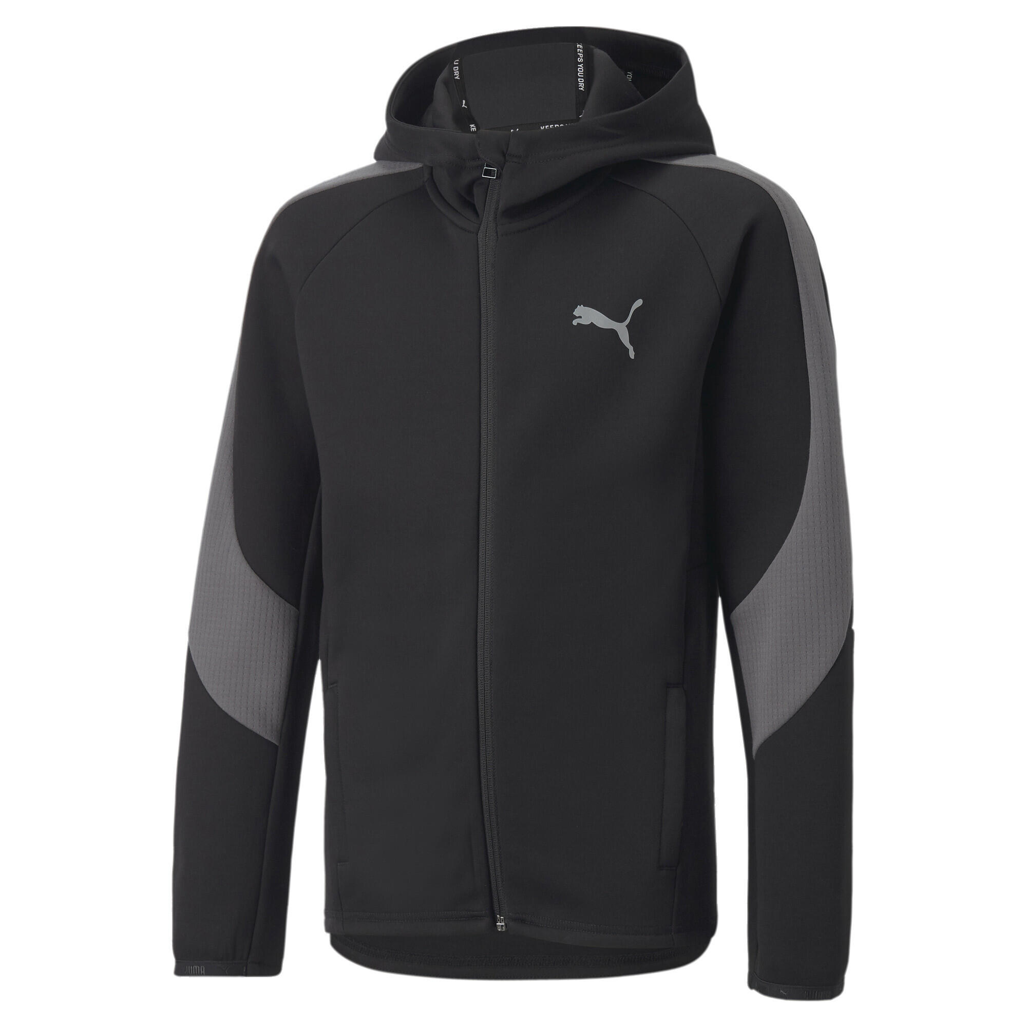 PUMA picture