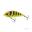 Poisson Nageur Salmo Fatso 10cm (F10F - Bright Perch)