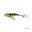 Poisson Nageur Salmo Rail Shad Sinking 6cm (SHP - Supernatural Hot Perch)