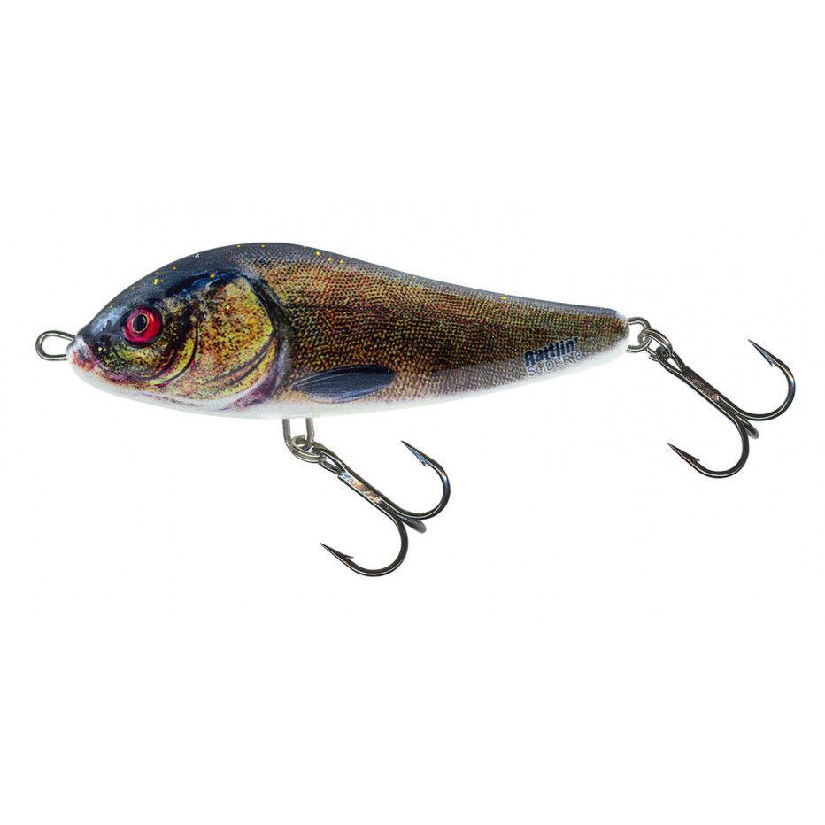 SALMO picture