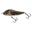 Salmo Rattlin Slider Sinking 11Cm Supernatural Tench