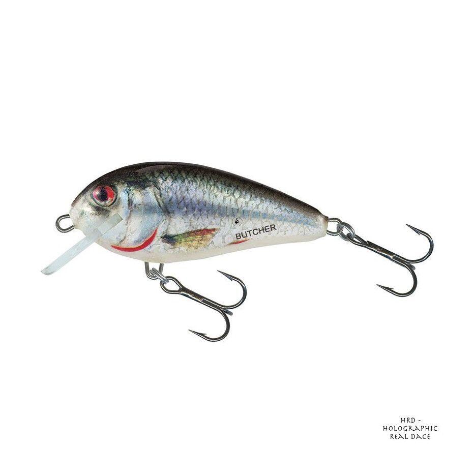 SALMO picture