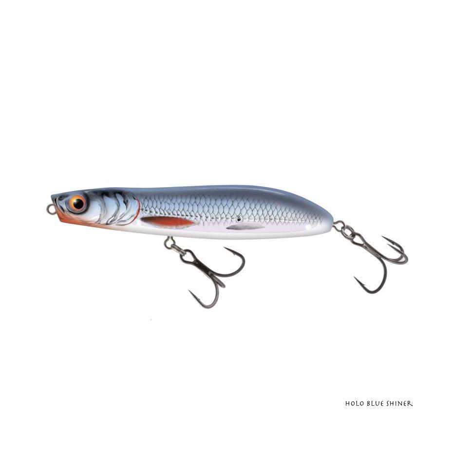 SALMO picture