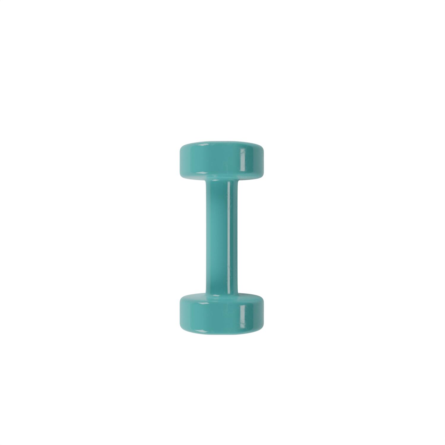 Vinyl halters 1kg (Paar) 3/5