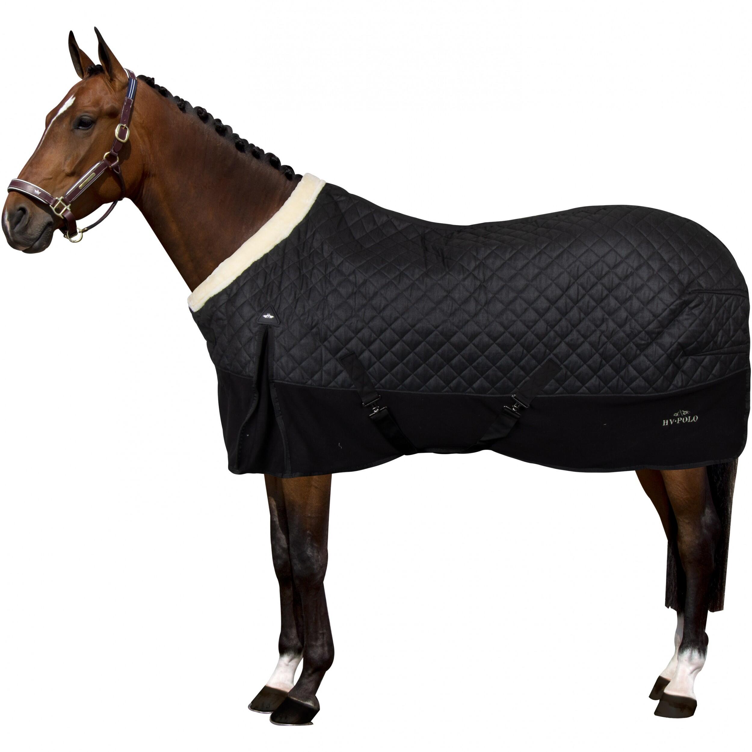 HV Polo Francis horse stable rug