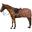 Couvre-reins pour cheval Imperial Riding Super-dry 0gr