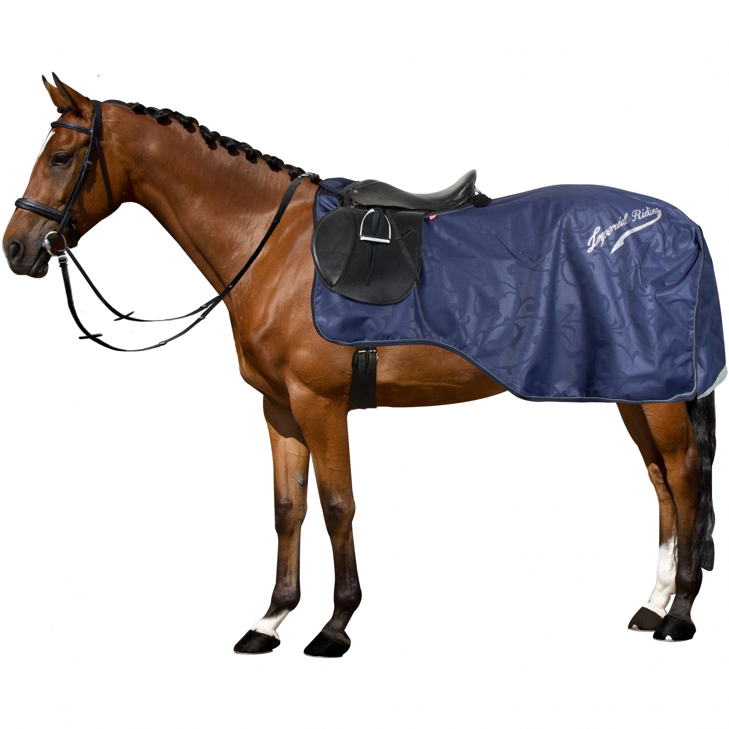navyblau / navyblau / mitternachtsindigo