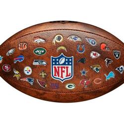 Wilson NFL Team Logo Composite Football Las Vegas Raiders, 29,95 €