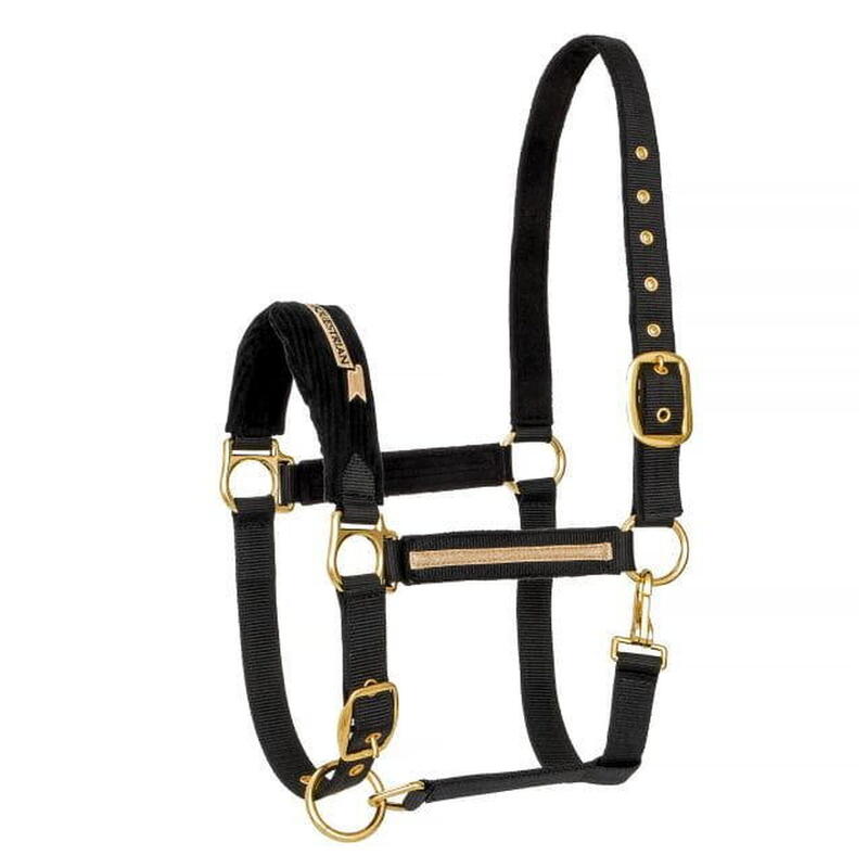 EQUESTRIAN QUEEN cavezza Torino 22AW