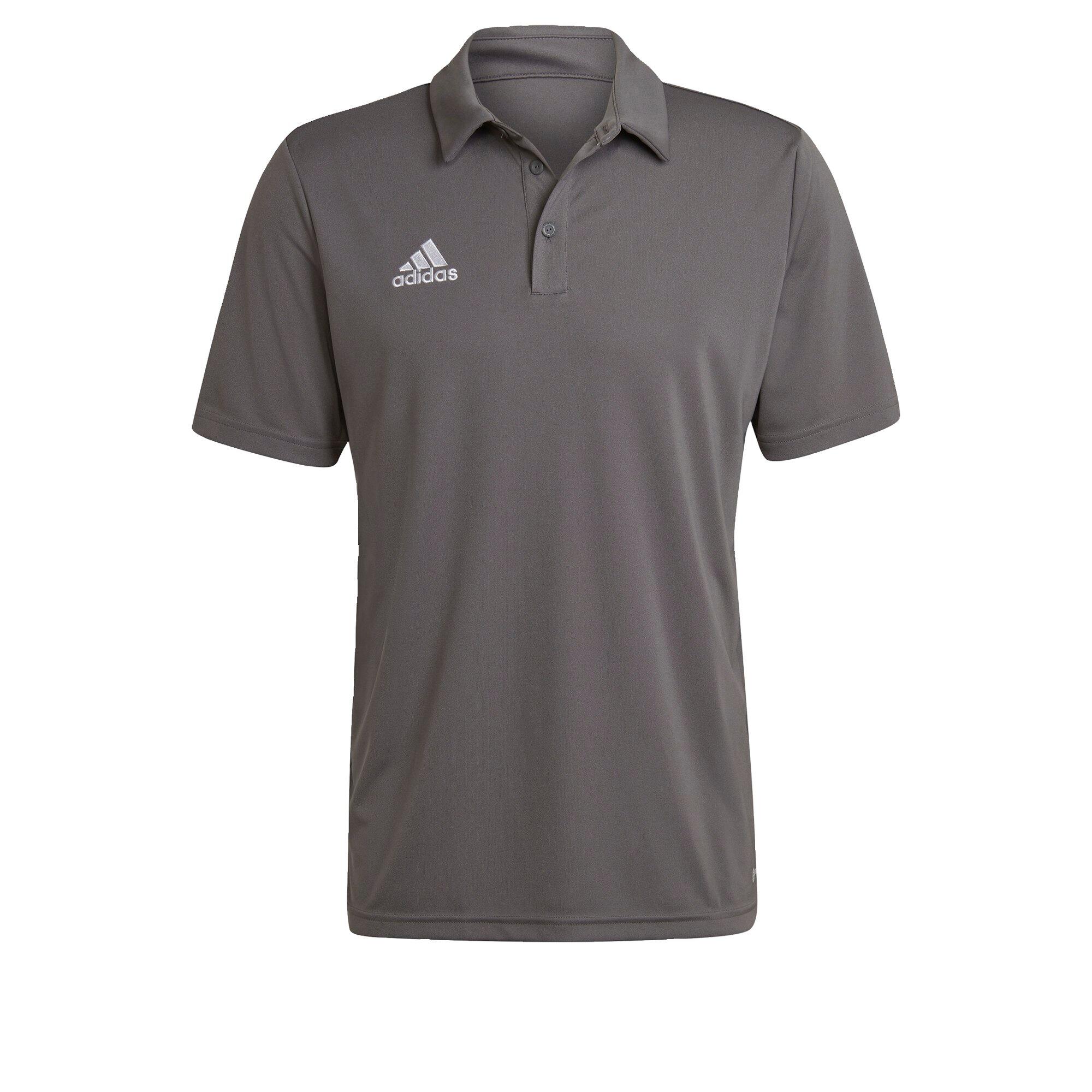 Polo entrada 22 adidas