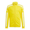 Veste Squadra 21 Training