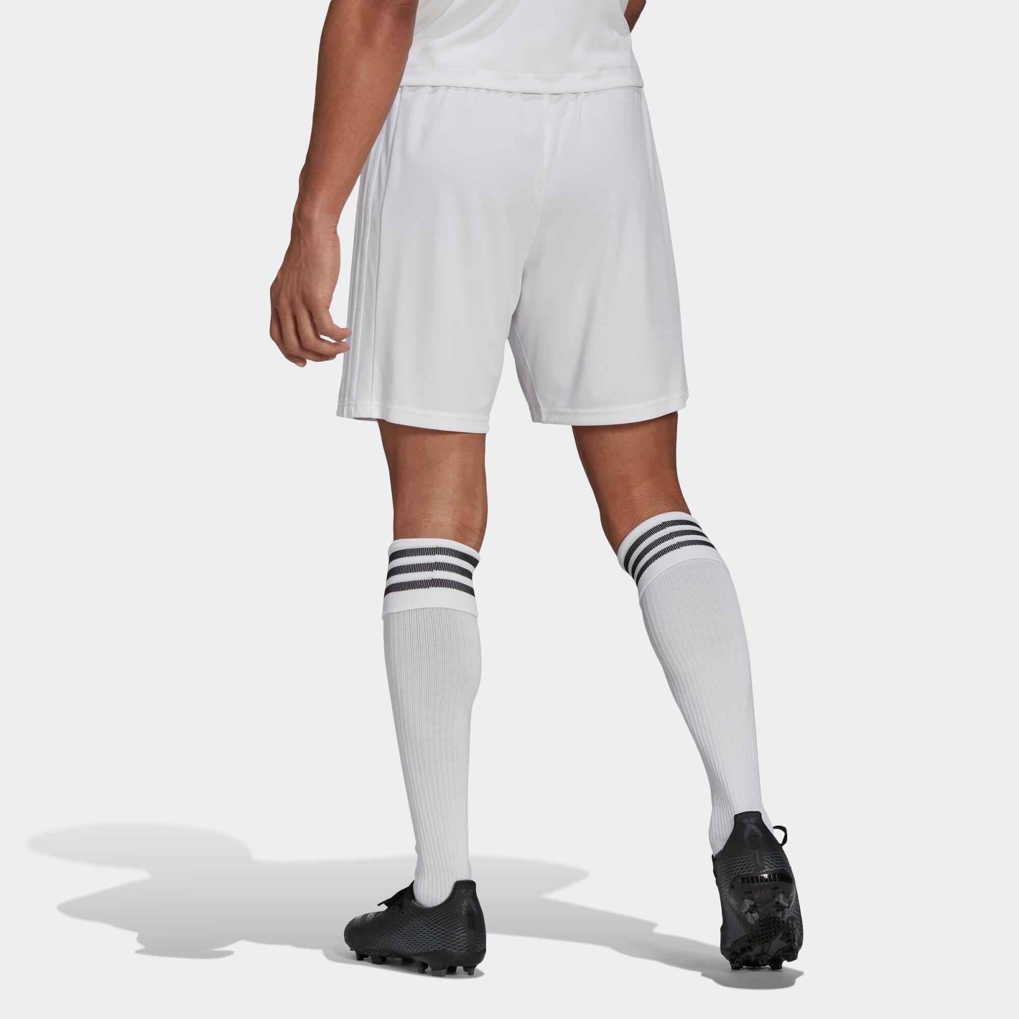 Squadra 21 Short 4/5