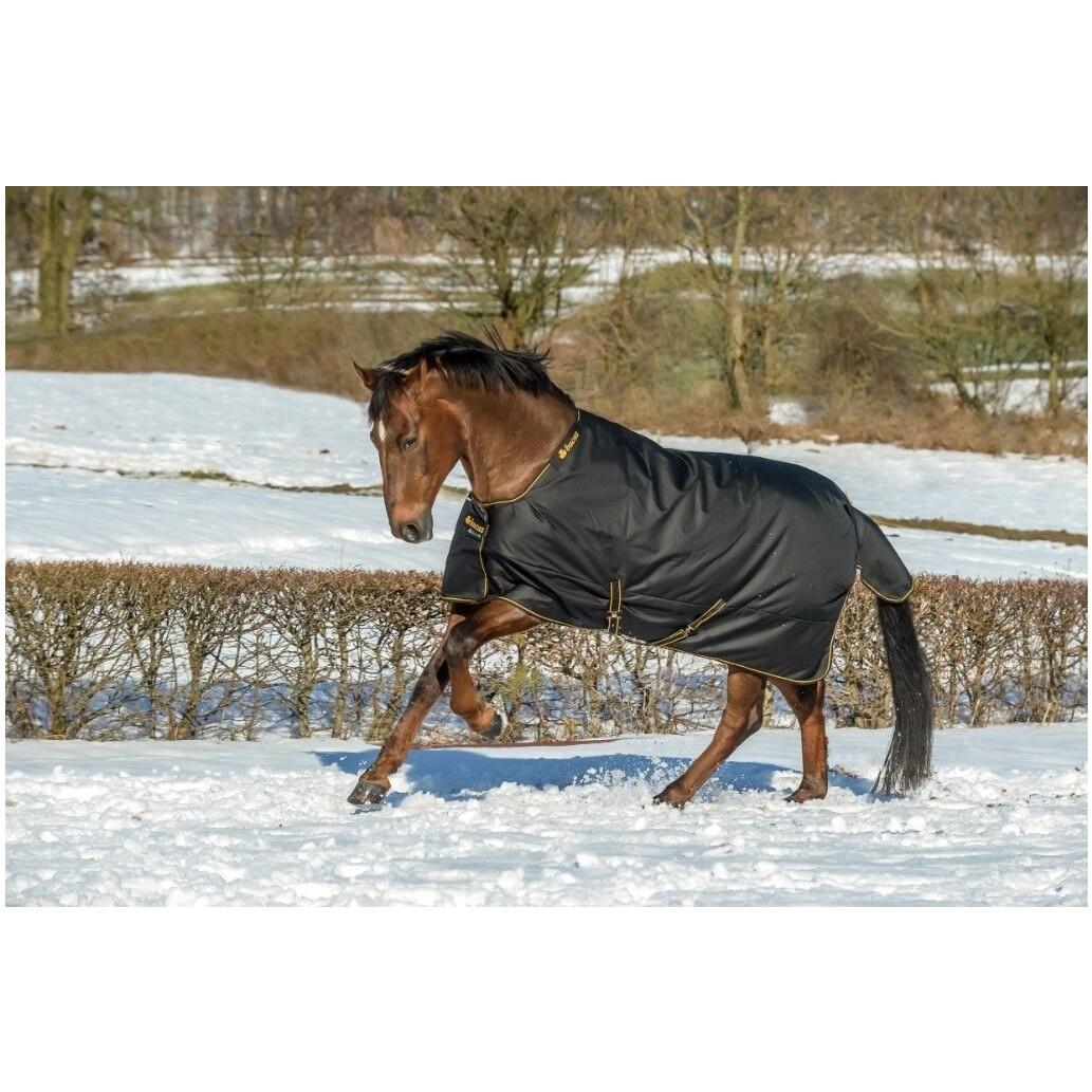 BUCAS picture