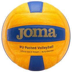 Ballon de volley High Performance Volleyball