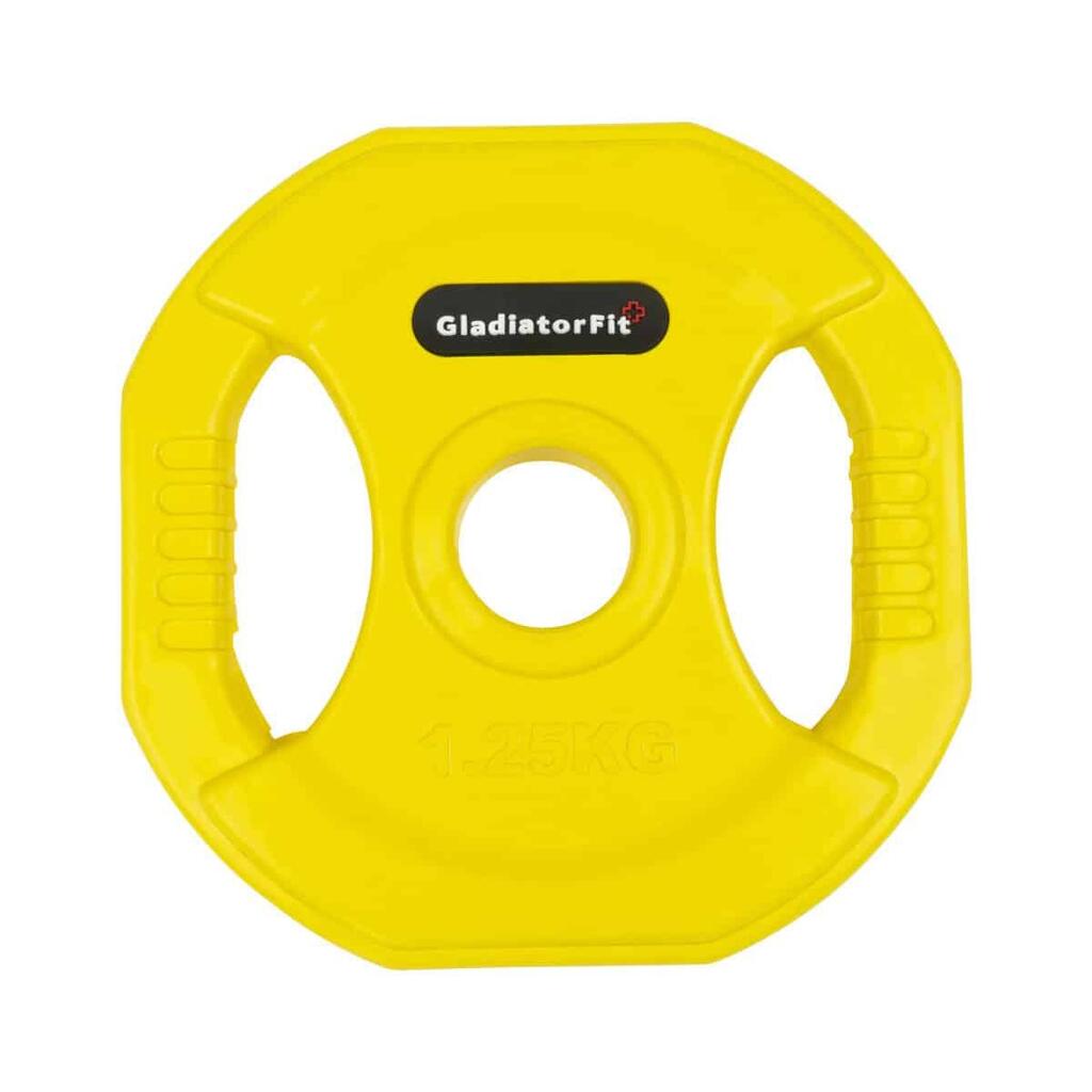 Pump rubber weight discs and Ø 31mm GladiatorFit handles (set of 2)