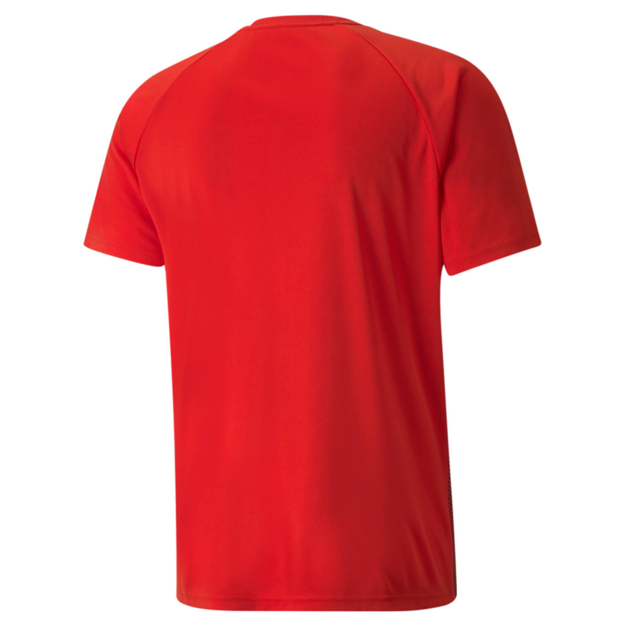 Maillot Puma Team Liga Striped 2/6