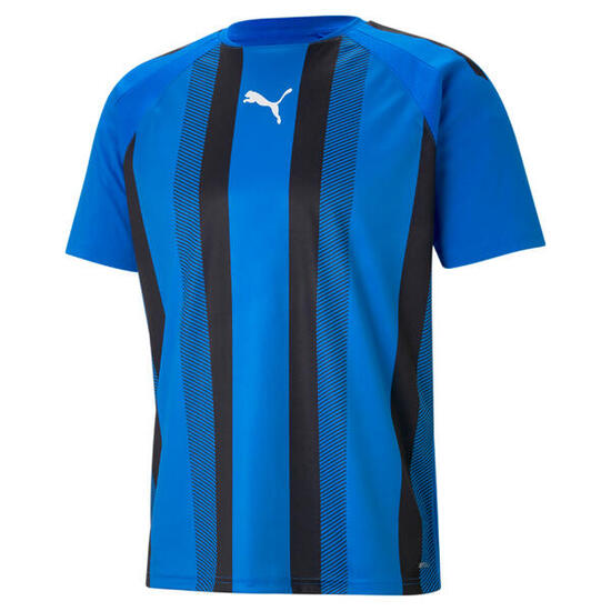 Koszulka Puma Team Liga Striped