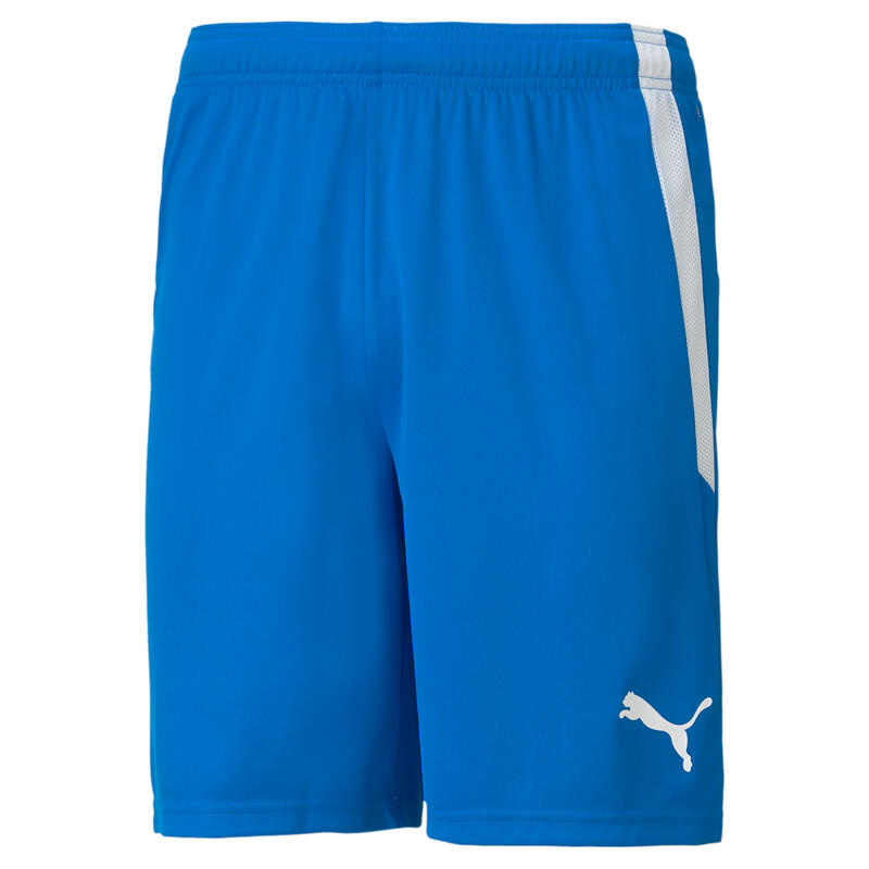 Pantaloni Scurți Drumeții În Natură Puma TeamLIGA Bărbați