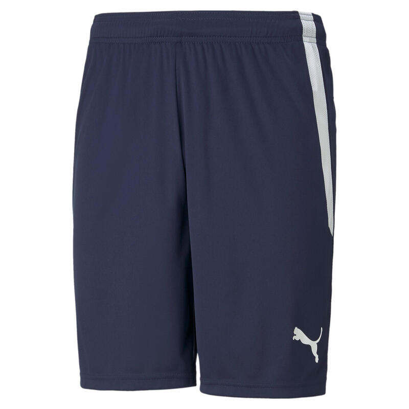 Pantalon formation hommes Puma Spodenki Męskie Teamliga Granatowe