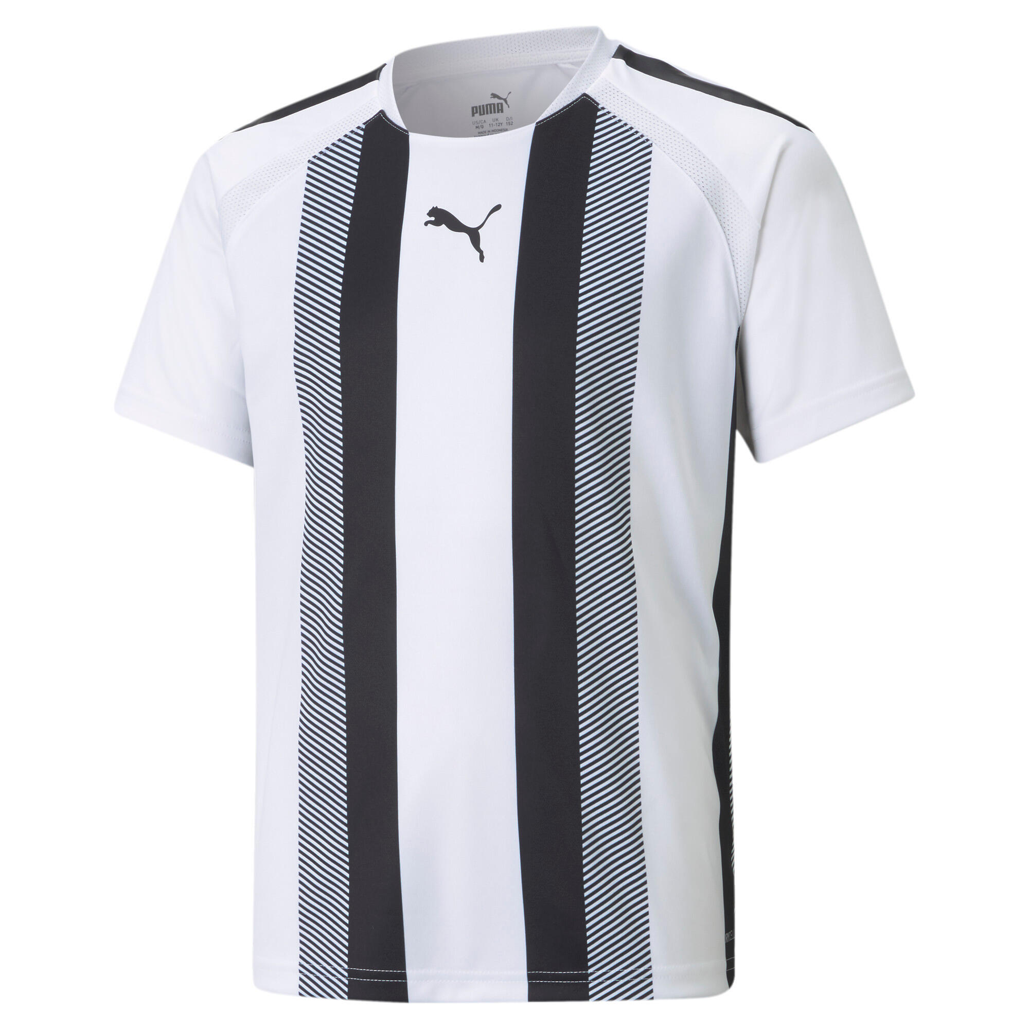 Koszulka dziecięca Puma Team Liga Striped