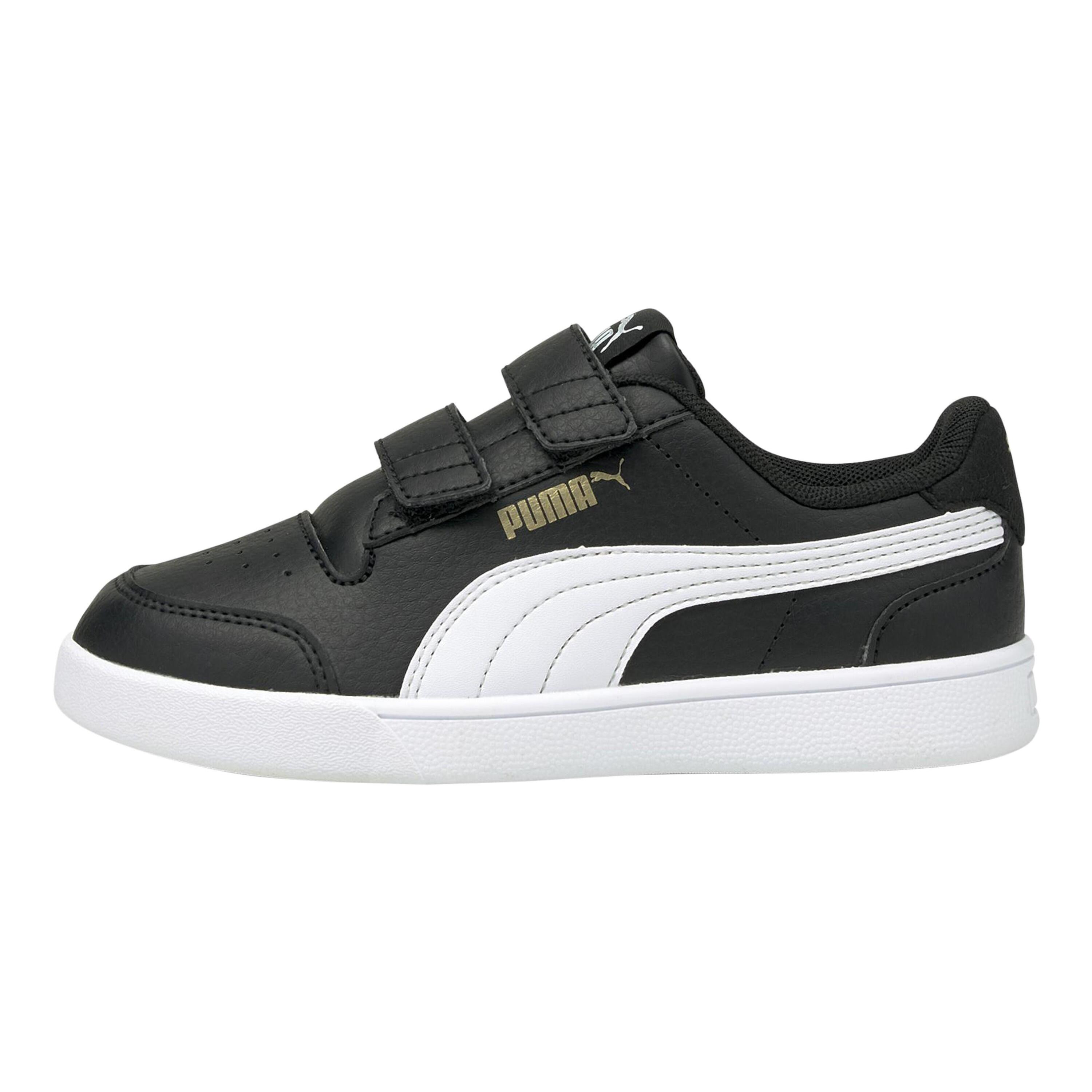 PUMA picture