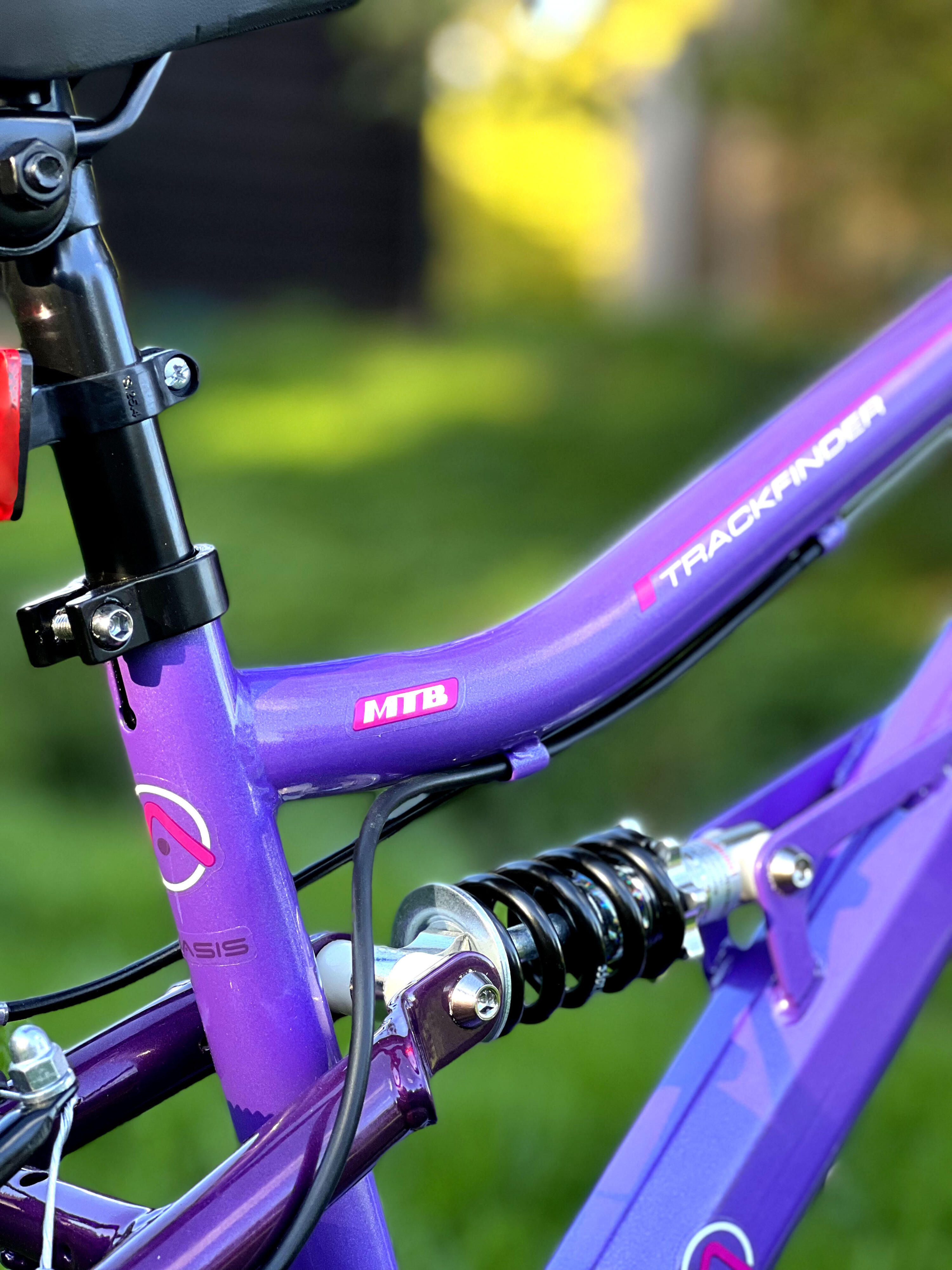 Basis Princess Girls 20In Full Suspension Mountain Bike, 6 Speed 4/5