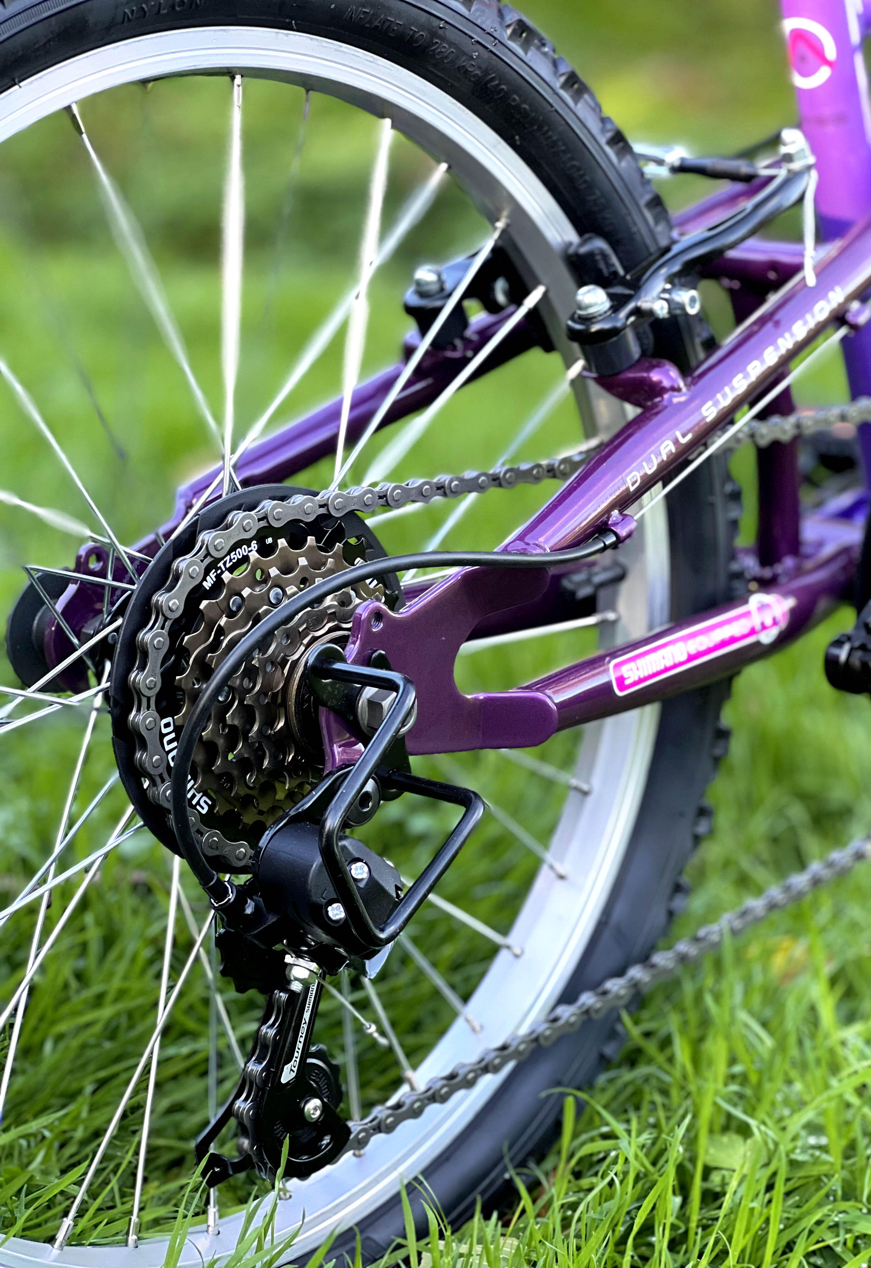 Basis Princess Girls 20In Full Suspension Mountain Bike, 6 Speed 5/5