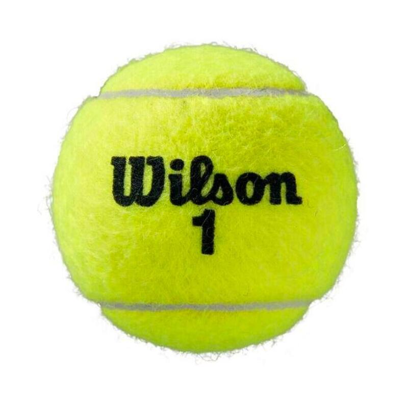 Koker met 3 Wilson Roland Garros-tennisballen voor alle soorten ondergrond