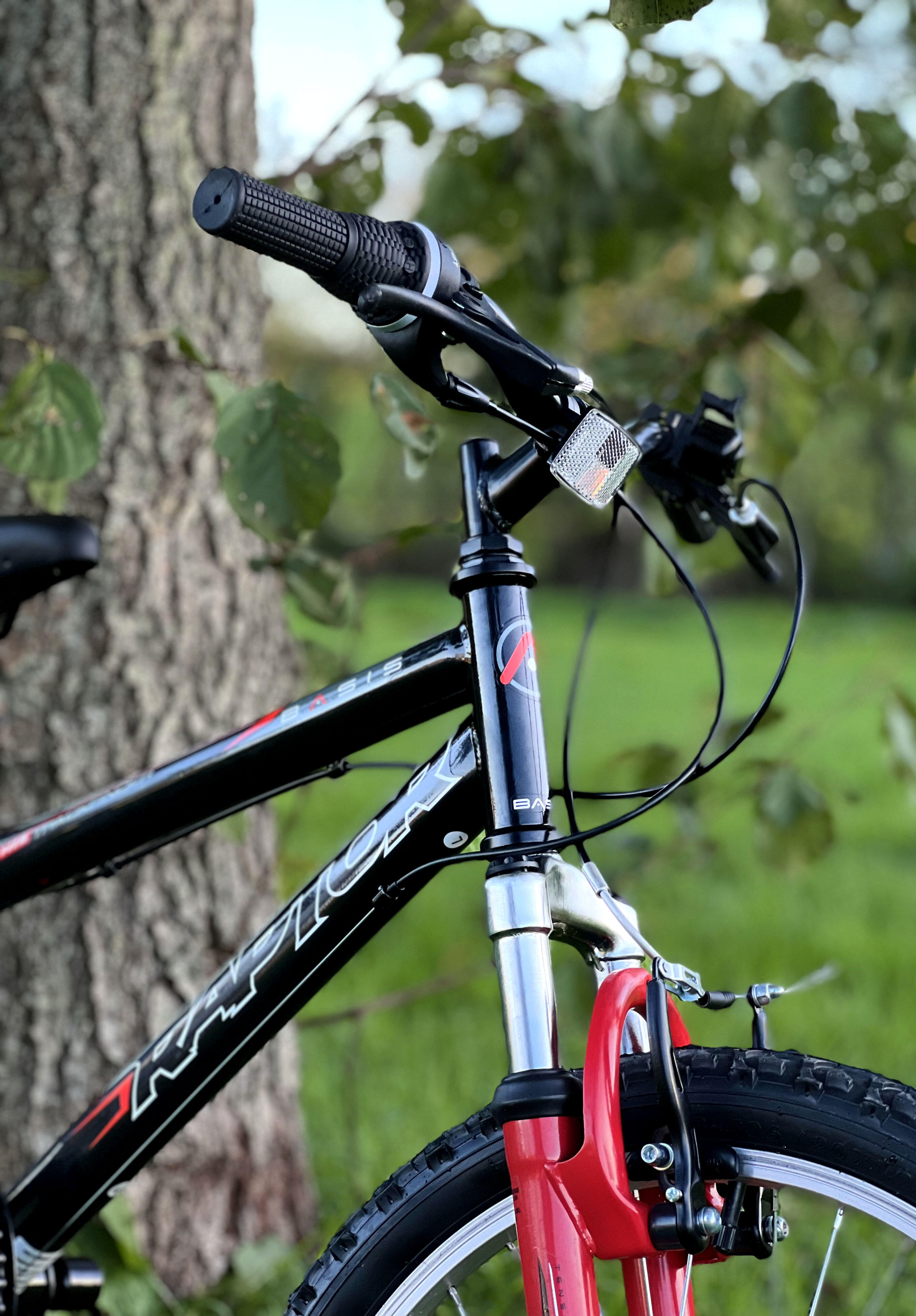 Basis Raptor Junior Hardtail Mountain Bike 20in Wheel - Gloss Black/Red 2/5