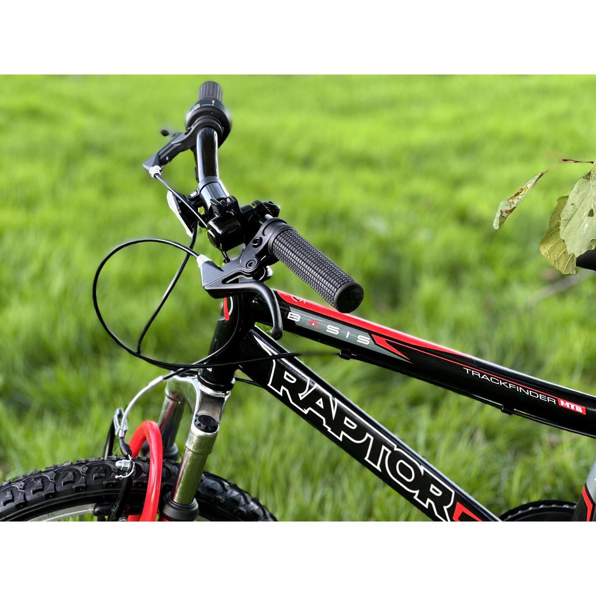 Basis Raptor Junior Hardtail Mountain Bike 20in Wheel - Gloss Black/Red 5/5