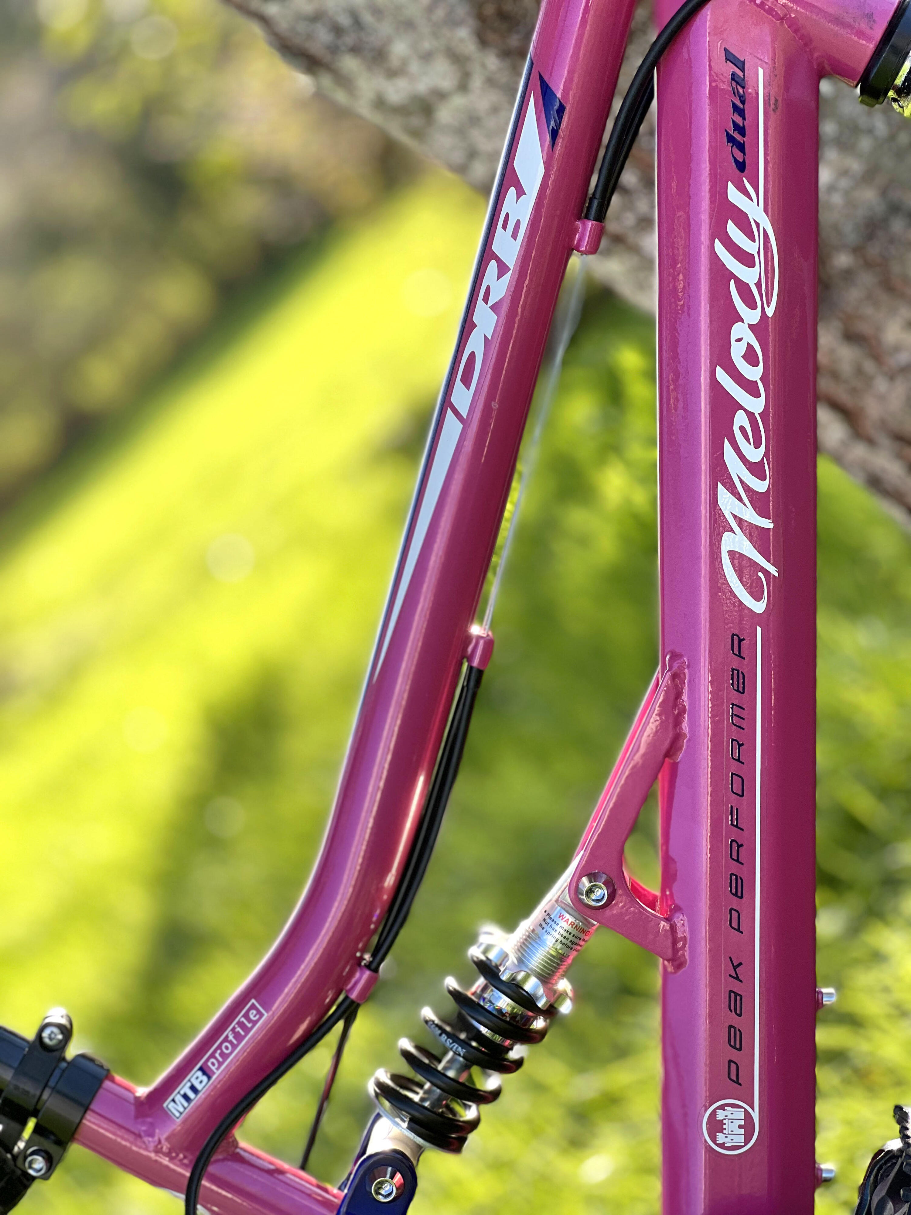 Dallingridge Melody Girls 20In Full Suspension Mountain Bike, 6 Speed 3/5