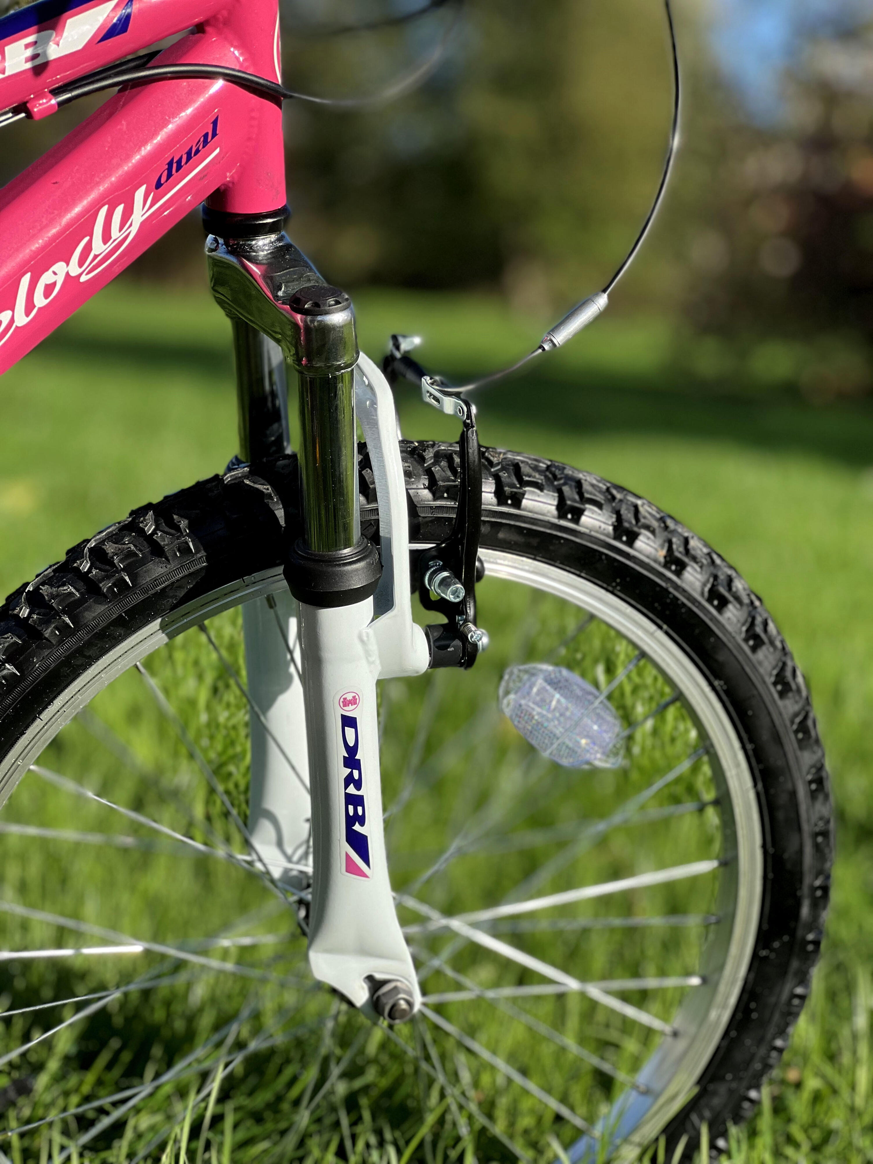 Dallingridge Melody Girls 20In Full Suspension Mountain Bike, 6 Speed 5/5