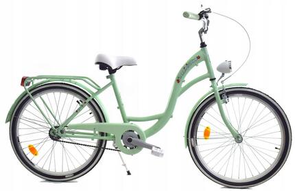 Rower Miejski dziecięcy Dallas Bike City Junior 24" 1spd