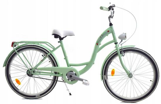 Rower Miejski dziecięcy Dallas Bike City Junior 24" 1spd