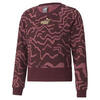 Sudadera de cuello redondo juvenil Alpha Printed PUMA