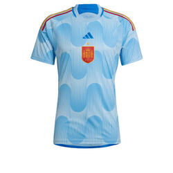 junior spain football kit