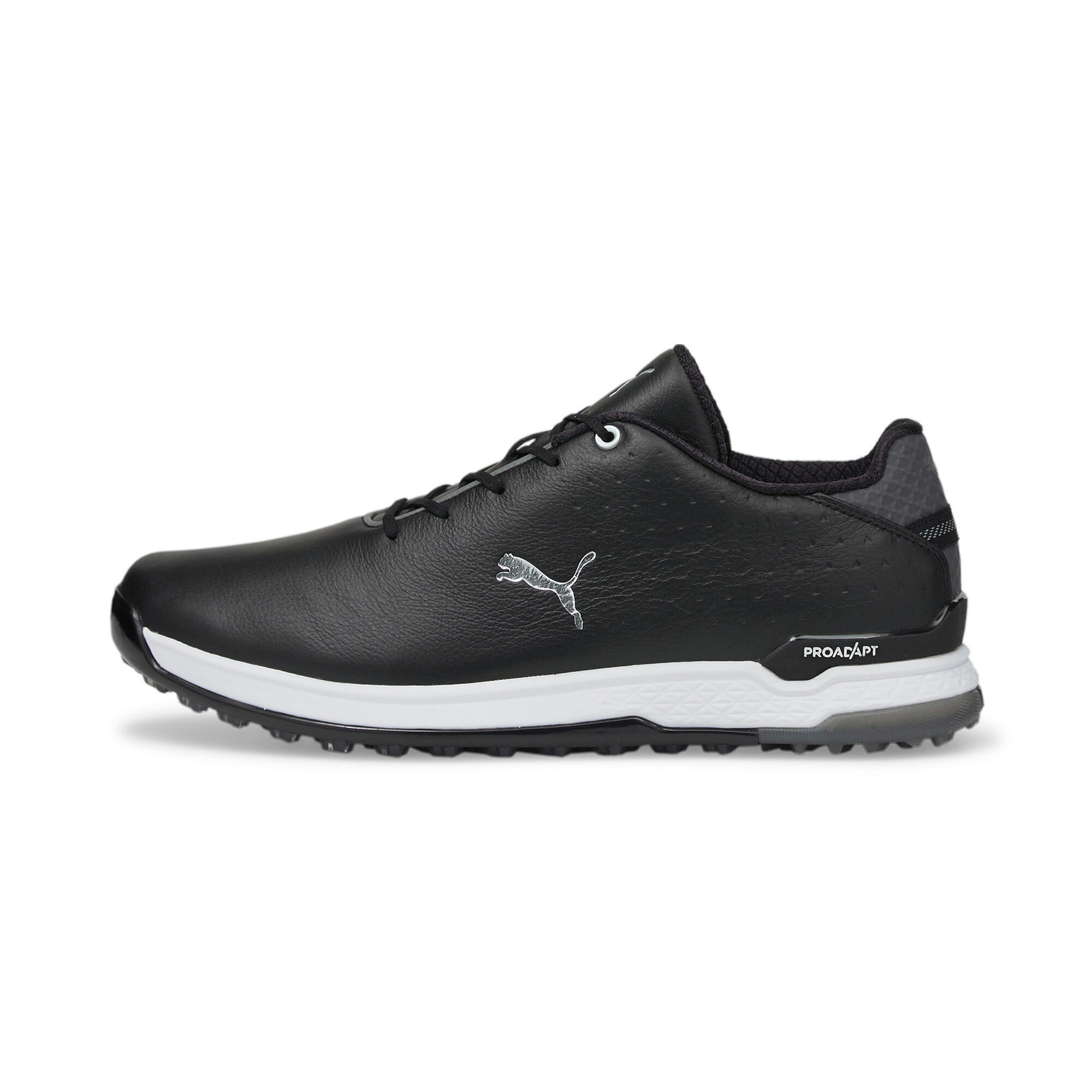 PUMA picture