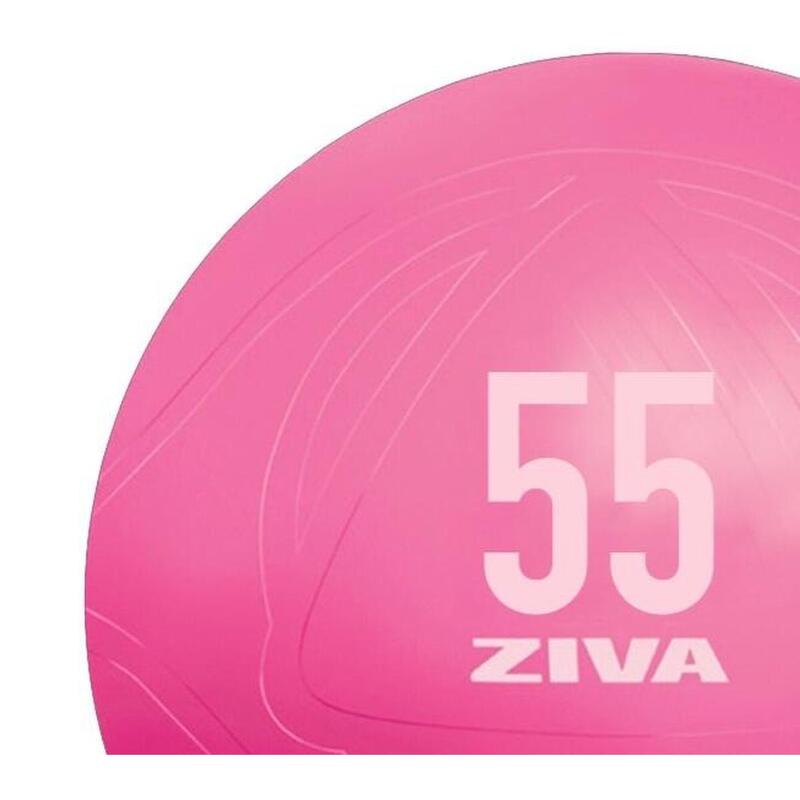 Fitball ZIVA chic 55cm - rosa