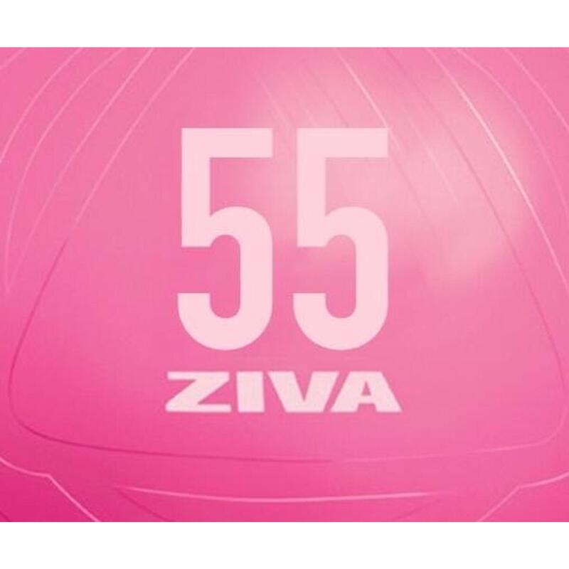 Fitball ZIVA chic 55cm - rosa