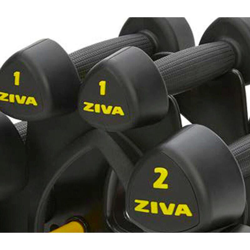 Kit mancuernas estudio ZIVA classic con soporte 12 kg